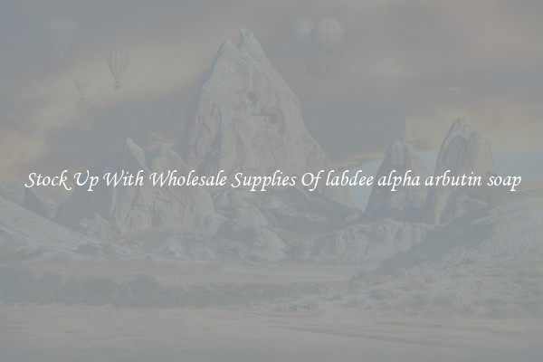 Stock Up With Wholesale Supplies Of labdee alpha arbutin soap