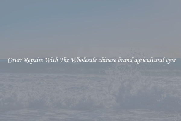  Cover Repairs With The Wholesale chinese brand agricultural tyre