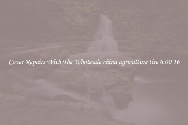  Cover Repairs With The Wholesale china agriculture tire 6.00 16 