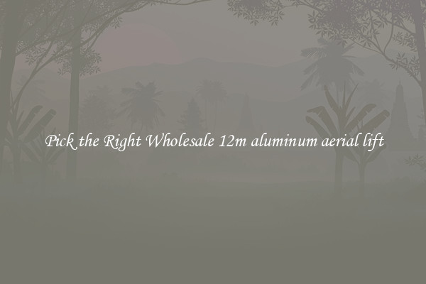 Pick the Right Wholesale 12m aluminum aerial lift