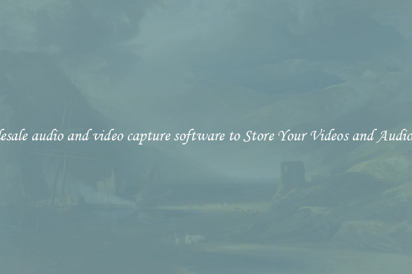 Wholesale audio and video capture software to Store Your Videos and Audio Files