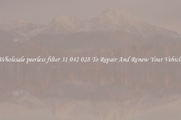Wholesale peerless filter 31 042 028 To Repair And Renew Your Vehicle