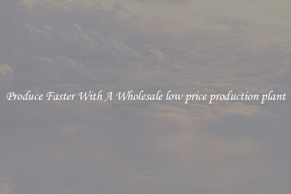 Produce Faster With A Wholesale low price production plant