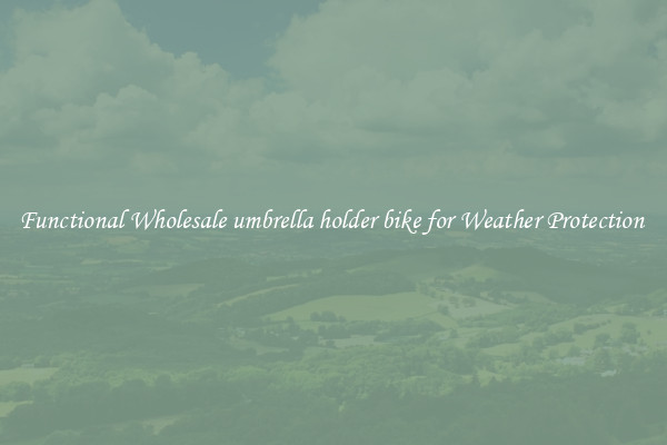 Functional Wholesale umbrella holder bike for Weather Protection 