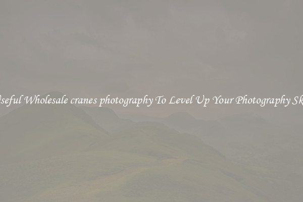 Useful Wholesale cranes photography To Level Up Your Photography Skill