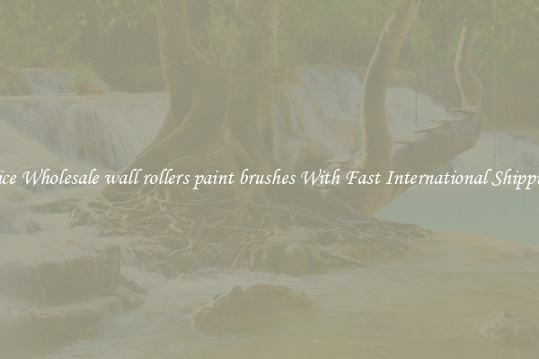 Nice Wholesale wall rollers paint brushes With Fast International Shipping
