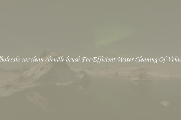 Wholesale car clean chenille brush For Efficient Water Cleaning Of Vehicles