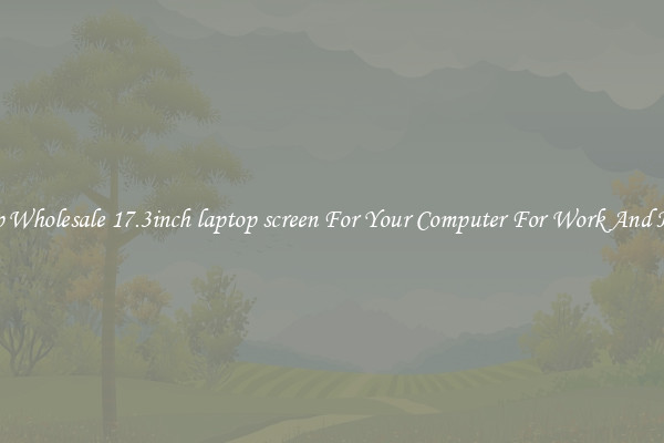 Crisp Wholesale 17.3inch laptop screen For Your Computer For Work And Home