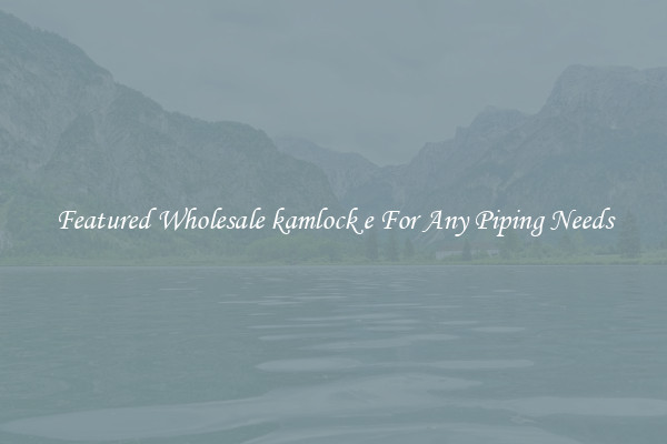 Featured Wholesale kamlock e For Any Piping Needs