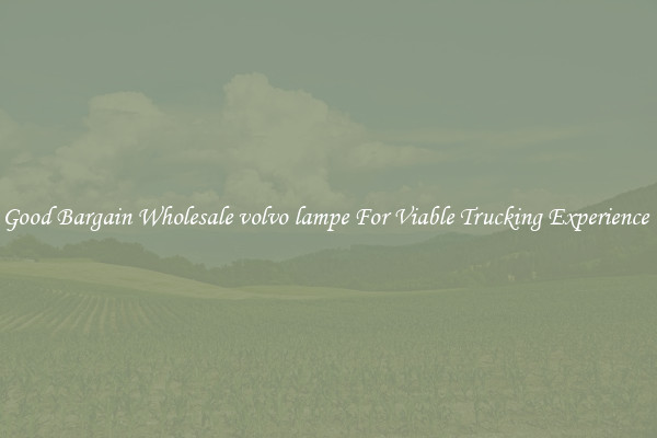 Good Bargain Wholesale volvo lampe For Viable Trucking Experience 