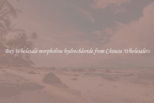 Buy Wholesale morpholine hydrochloride from Chinese Wholesalers