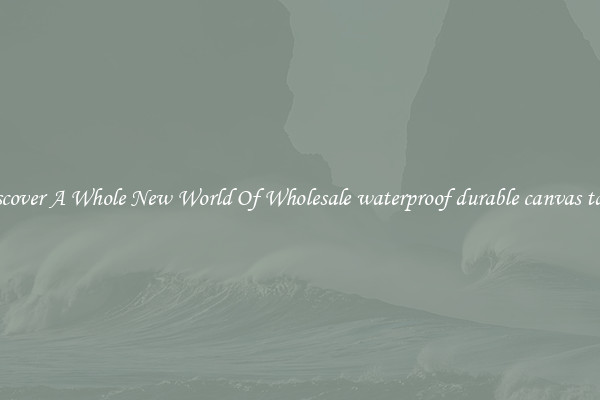 Discover A Whole New World Of Wholesale waterproof durable canvas tarps