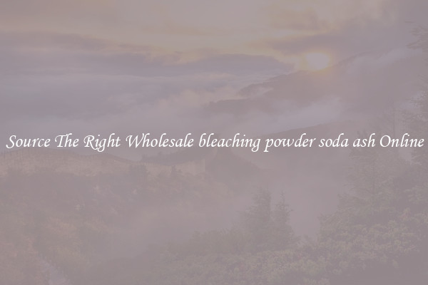 Source The Right Wholesale bleaching powder soda ash Online