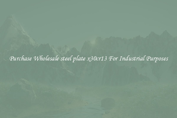 Purchase Wholesale steel plate x30cr13 For Industrial Purposes