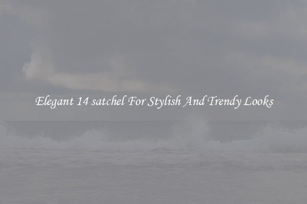 Elegant 14 satchel For Stylish And Trendy Looks