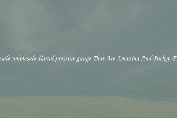 Wholesale wholesale digital pressure gauge That Are Amazing And Pocket-Friendly