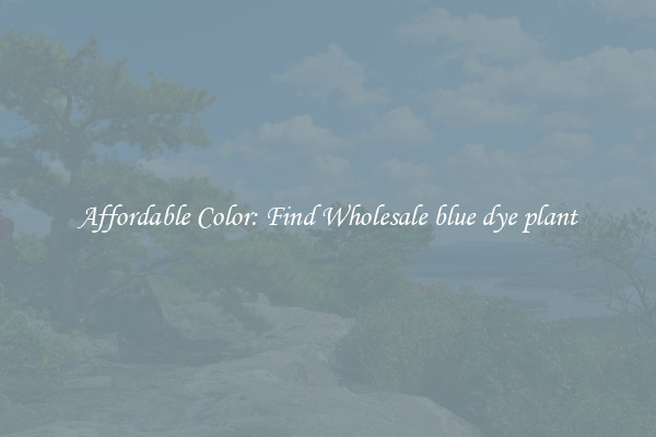 Affordable Color: Find Wholesale blue dye plant