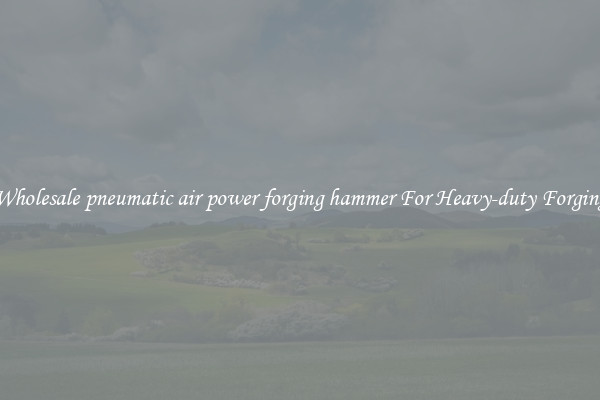 Wholesale pneumatic air power forging hammer For Heavy-duty Forging