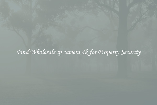 Find Wholesale ip camera 4k for Property Security