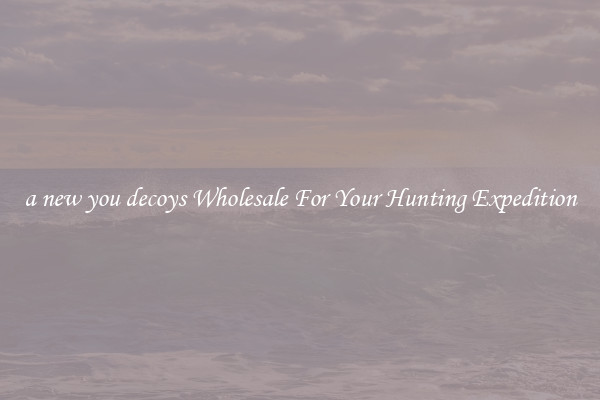 a new you decoys Wholesale For Your Hunting Expedition