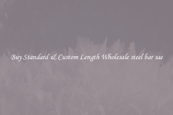 Buy Standard & Custom Length Wholesale steel bar sae