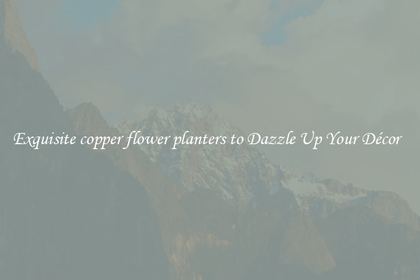 Exquisite copper flower planters to Dazzle Up Your Décor  