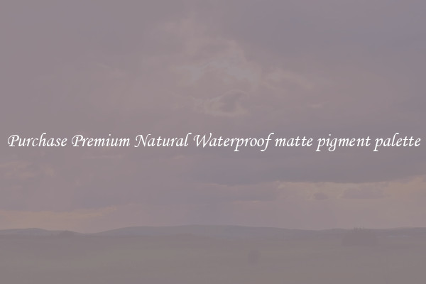 Purchase Premium Natural Waterproof matte pigment palette