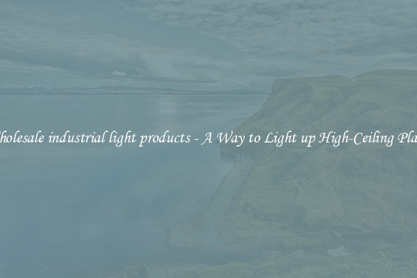 Wholesale industrial light products - A Way to Light up High-Ceiling Places