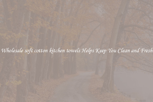 Wholesale soft cotton kitchen towels Helps Keep You Clean and Fresh