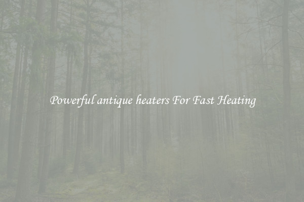 Powerful antique heaters For Fast Heating