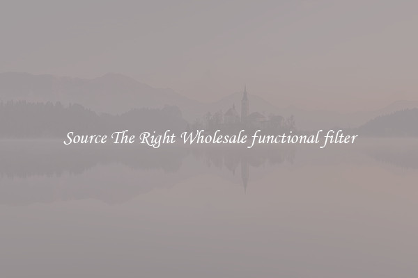 Source The Right Wholesale functional filter